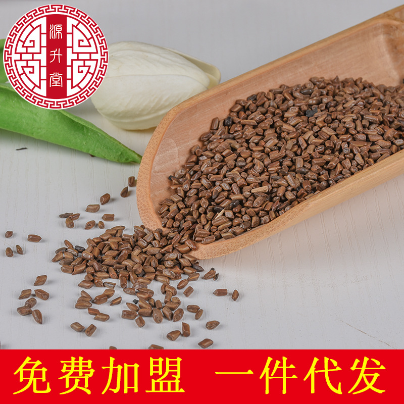 Jue Ming Zi (Cassia obtusifolia) — Dried Food-Herb Seed for Tea & Soup, 500g - Image 2