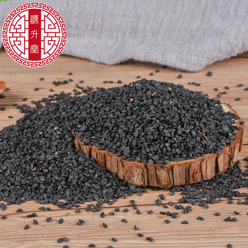 Cong Zi (Allium fistulosum) — Dried Welsh Onion Seeds, Food-Herb Botanical - Image 3
