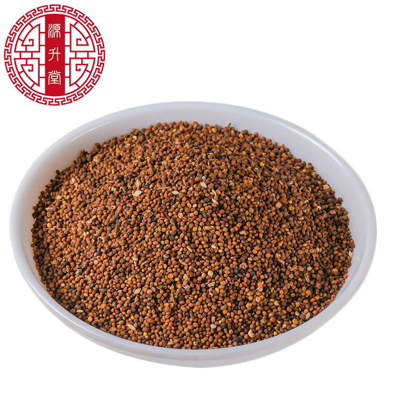 Tu Si Zi (Cuscuta chinensis) — Washed Dodder Seed, Inner Mongolia Food Herb, 500g - Image 5