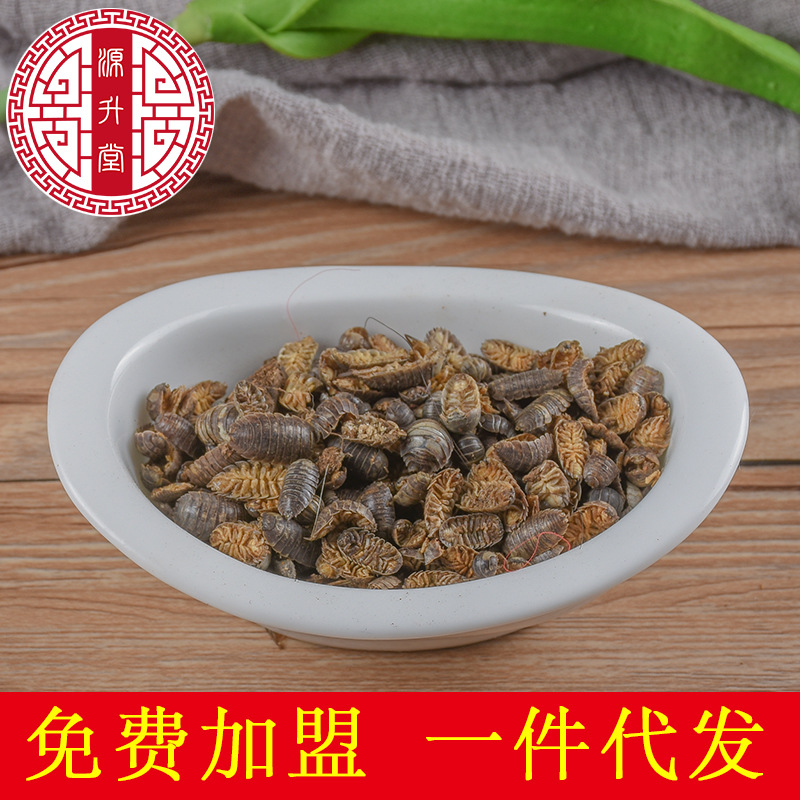 Shu Fu Chong (Porcellio scaber) — Dried Woodlouse for Traditional Herbal Use - Image 2