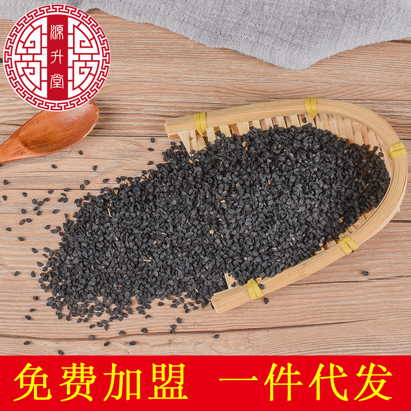 Cong Zi (Allium fistulosum) — Dried Welsh Onion Seeds, Food-Herb Botanical - Image 2