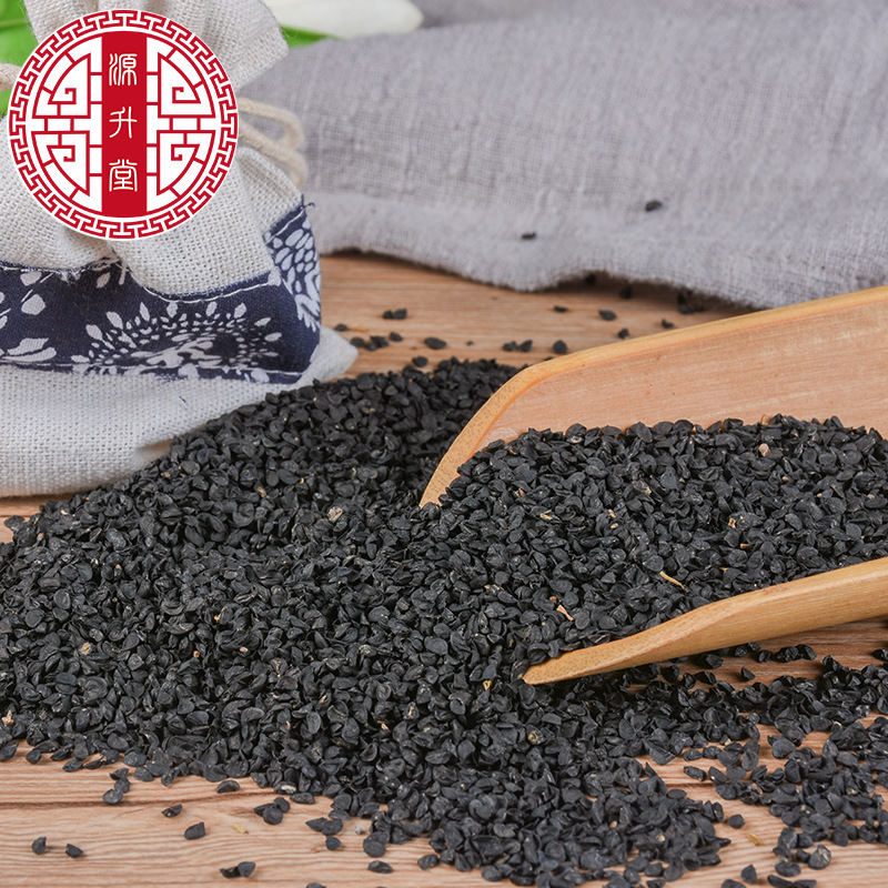 Cong Zi (Allium fistulosum) — Dried Welsh Onion Seeds, Food-Herb Botanical - Image 4