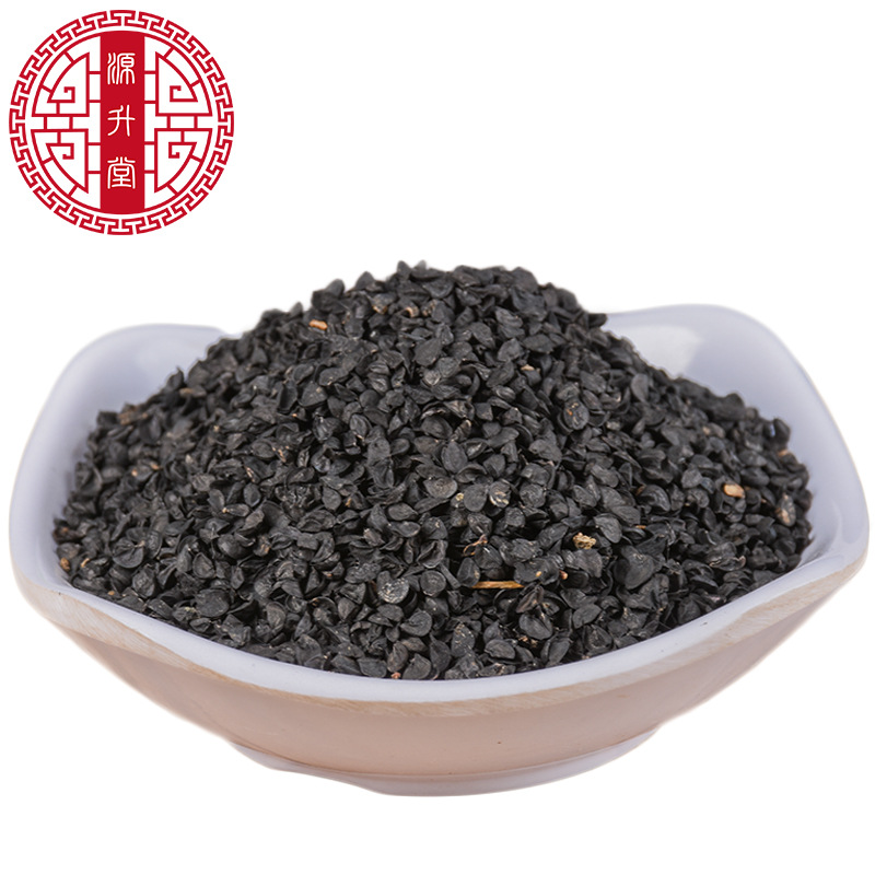 Cong Zi (Allium fistulosum) — Dried Welsh Onion Seeds, Food-Herb Botanical - Image 5