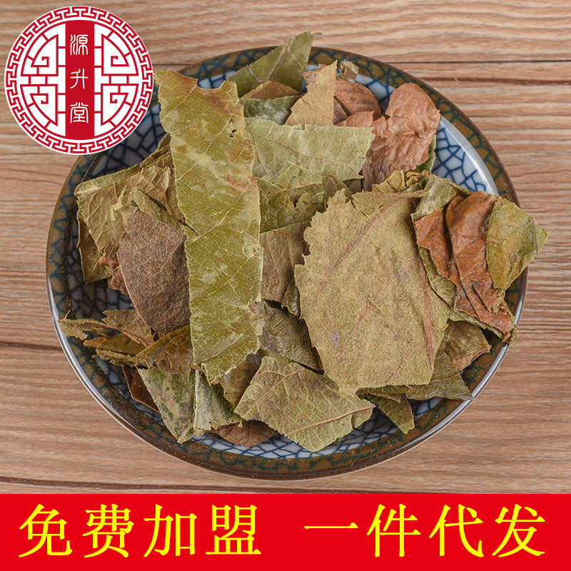 Pi Pa Ye (Eriobotrya japonica) — Dried Loquat Leaf for Herbal Tea & Decoction - Image 2