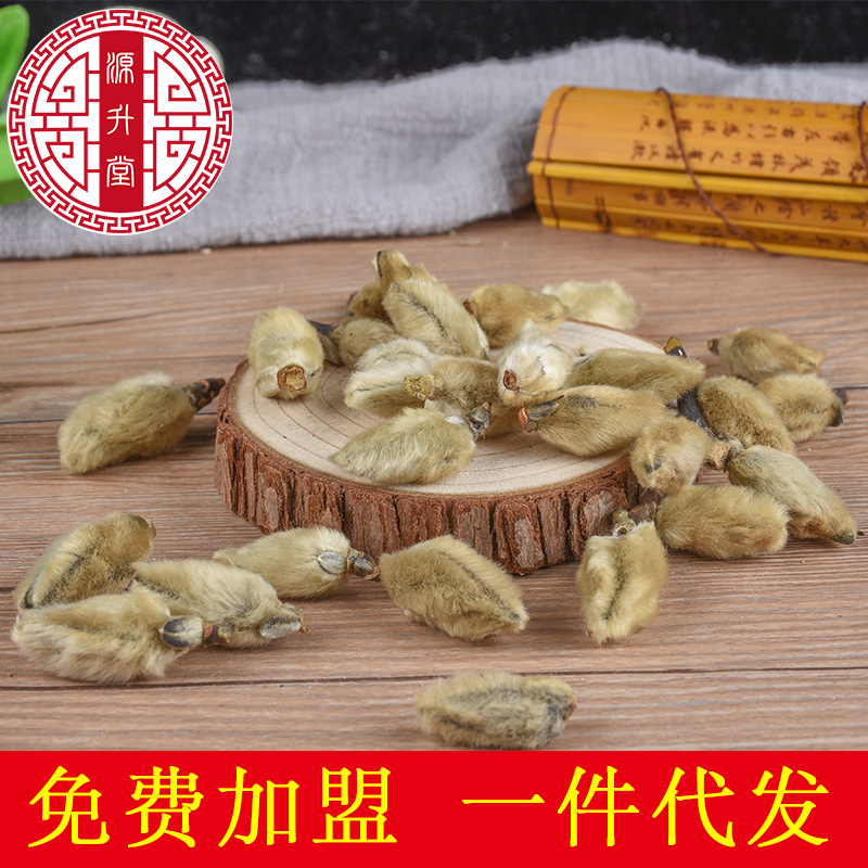 Xin Yi Hua (Magnolia biondii) — Dried Magnolia Flower Buds, Food-Herb for Tea & Soup - Image 2