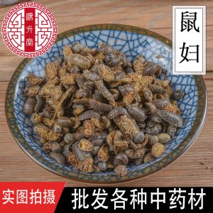 Shu Fu Chong (Porcellio scaber) — Dried Woodlouse for Traditional Herbal Use