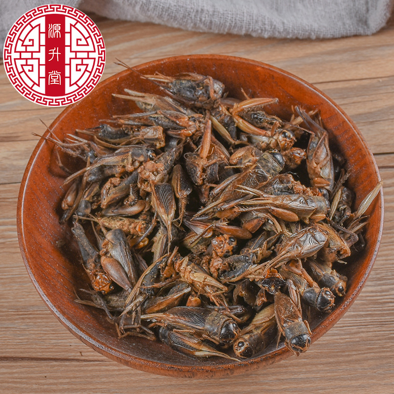 Cricket (Gryllus testaceus) Dried Food-Herb — Sulfur-Free TCM Material, 500g Bulk - Image 4