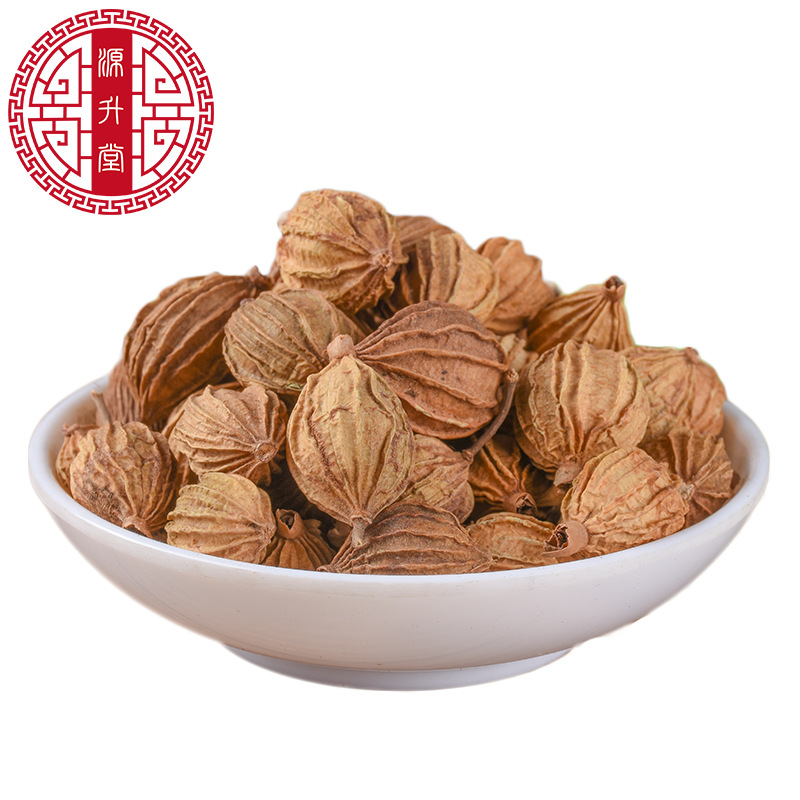 Xiang Sha (Amomum villosum) — Sichuan-Grown Food-Herb Spice for Hot Pot & Herbal Cooking - Image 5