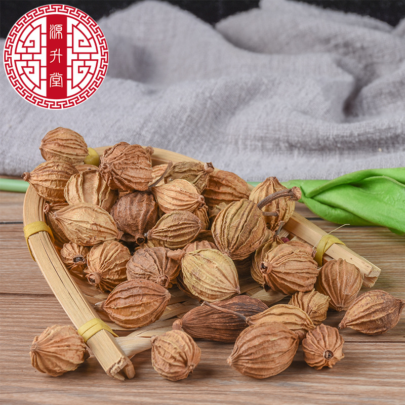 Xiang Sha (Amomum villosum) — Sichuan-Grown Food-Herb Spice for Hot Pot & Herbal Cooking - Image 3