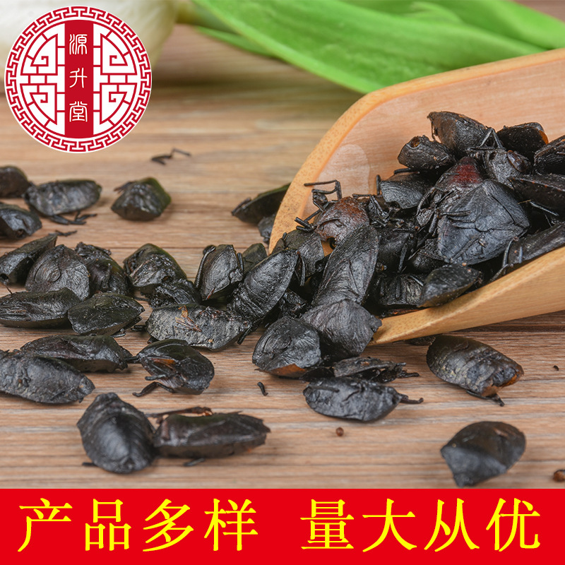 Jiu Xiang Chong (Aspongopus chinensis) — Dried Food-Herb Insect for TCM Decoction & Wellness - Image 3