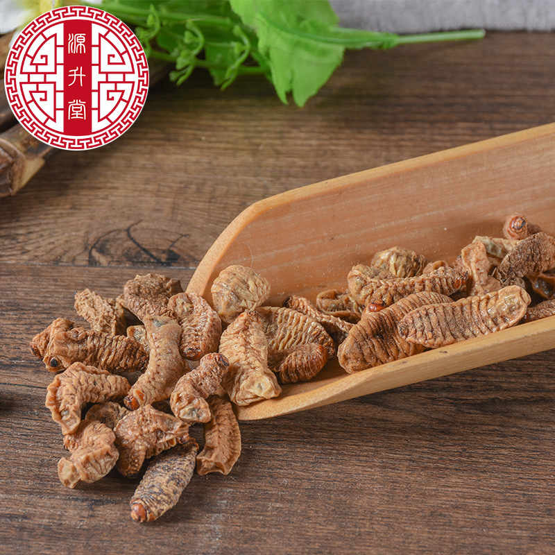 Qi Cao (Protaetia brevitarsis Larva) — Dried Insect Food Herb, 500g - Image 4