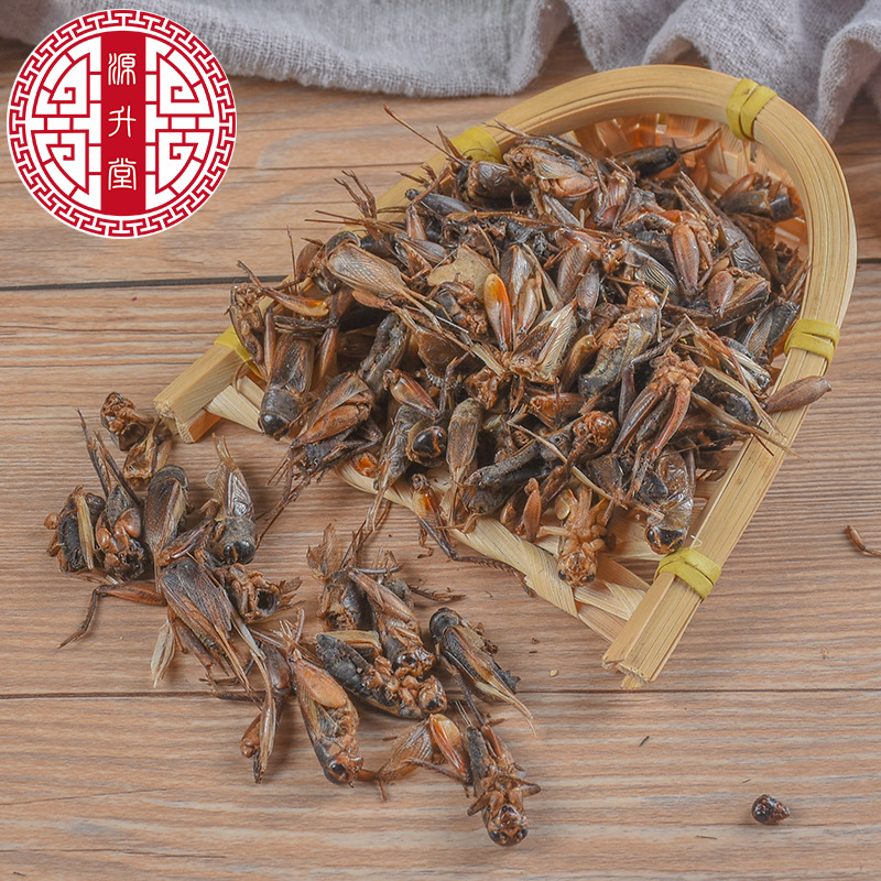 Cricket (Gryllus testaceus) Dried Food-Herb — Sulfur-Free TCM Material, 500g Bulk - Image 3