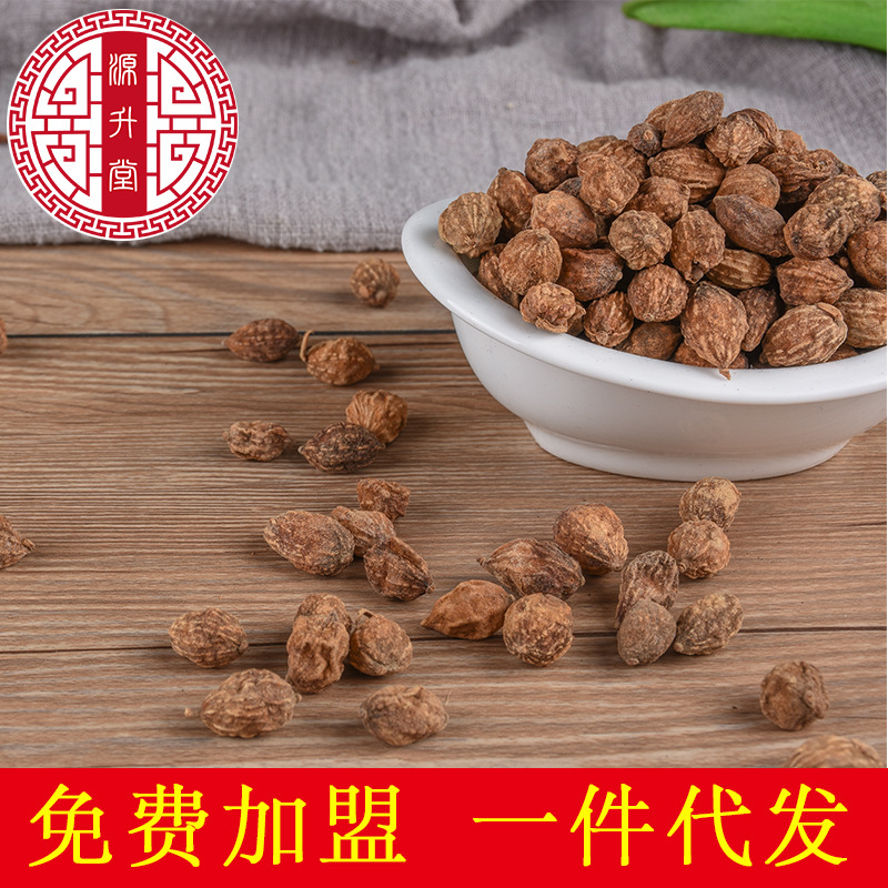 Yi Zhi Ren (Alpinia oxyphylla) — Dried Food-Herb Fruit for Tea & Soup - Image 2