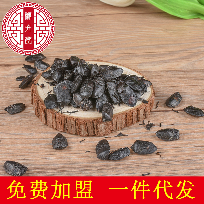 Jiu Xiang Chong (Aspongopus chinensis) — Dried Food-Herb Insect for TCM Decoction & Wellness - Image 2