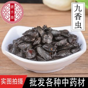 Jiu Xiang Chong (Aspongopus chinensis) — Dried Food-Herb Insect for TCM Decoction & Wellness