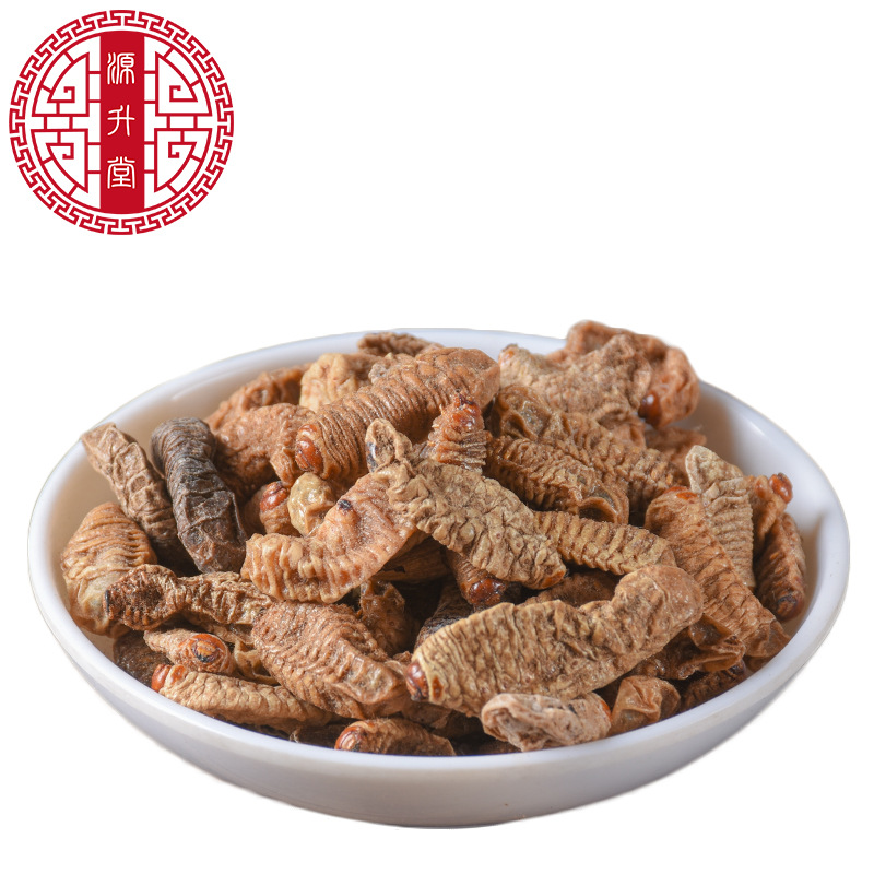 Qi Cao (Protaetia brevitarsis Larva) — Dried Insect Food Herb, 500g - Image 5