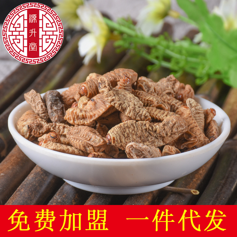 Qi Cao (Protaetia brevitarsis Larva) — Dried Insect Food Herb, 500g - Image 2