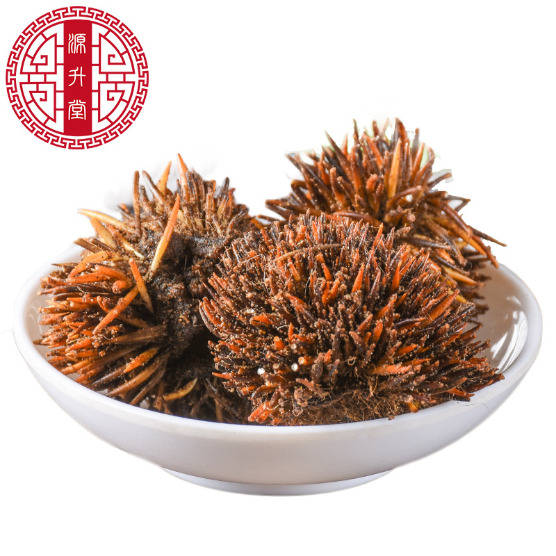 Ci Wei Pi (Erinaceus Hedgehog Skin) — Dried TCM Animal Herb, Sulfur-Free, 500g - Image 5