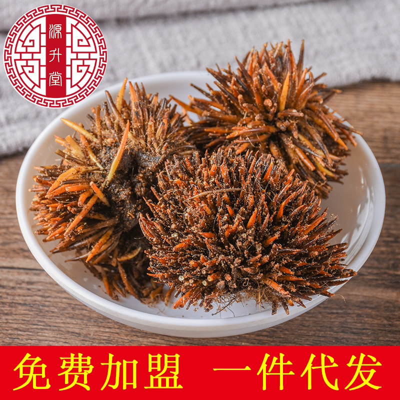 Ci Wei Pi (Erinaceus Hedgehog Skin) — Dried TCM Animal Herb, Sulfur-Free, 500g - Image 2