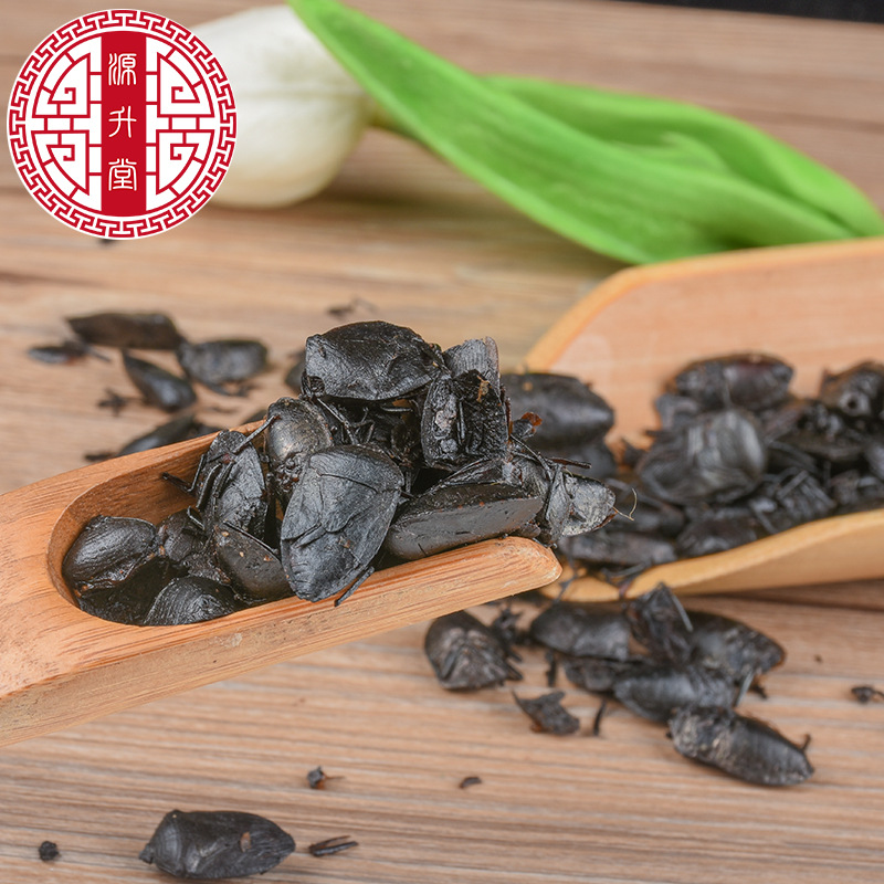 Jiu Xiang Chong (Aspongopus chinensis) — Dried Food-Herb Insect for TCM Decoction & Wellness - Image 4