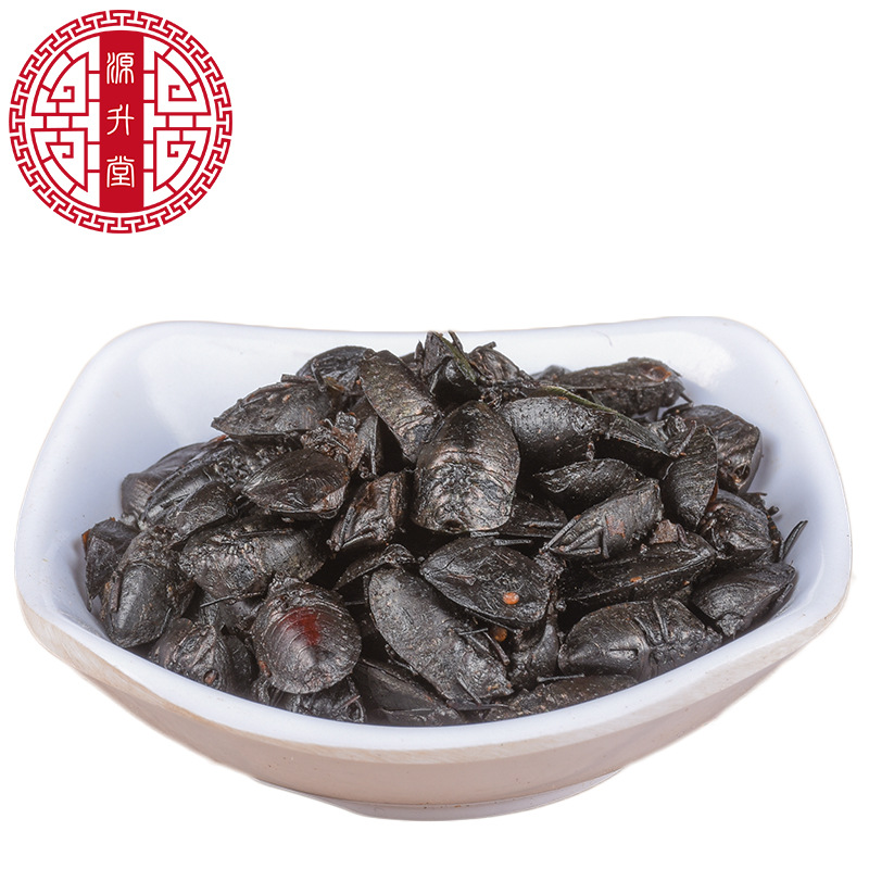 Jiu Xiang Chong (Aspongopus chinensis) — Dried Food-Herb Insect for TCM Decoction & Wellness - Image 5