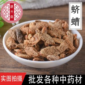 Qi Cao (Protaetia brevitarsis Larva) — Dried Insect Food Herb, 500g