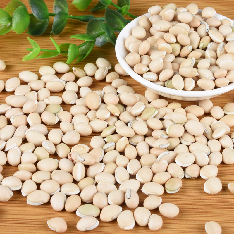 Bai Bian Dou (Dolichos lablab) — Dried White Hyacinth Bean for Soup & Congee - Image 2