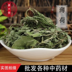 Mint Leaves (Mentha haplocalyx) — Dried Food-Herb for Cooling Herbal Teas & Blends
