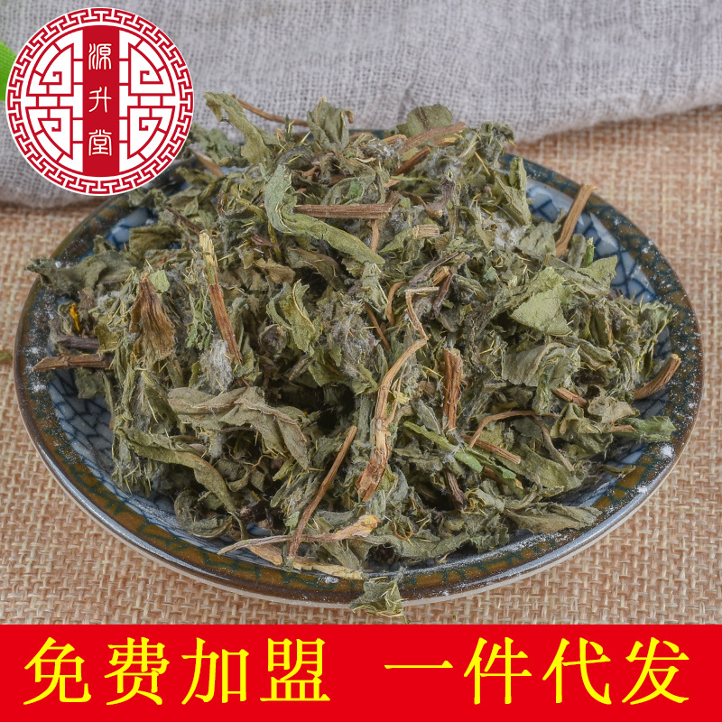 Xiao Ji (Cirsium setosum) — Dried Food-Herb Thistle for Tea & Decoction - Image 2