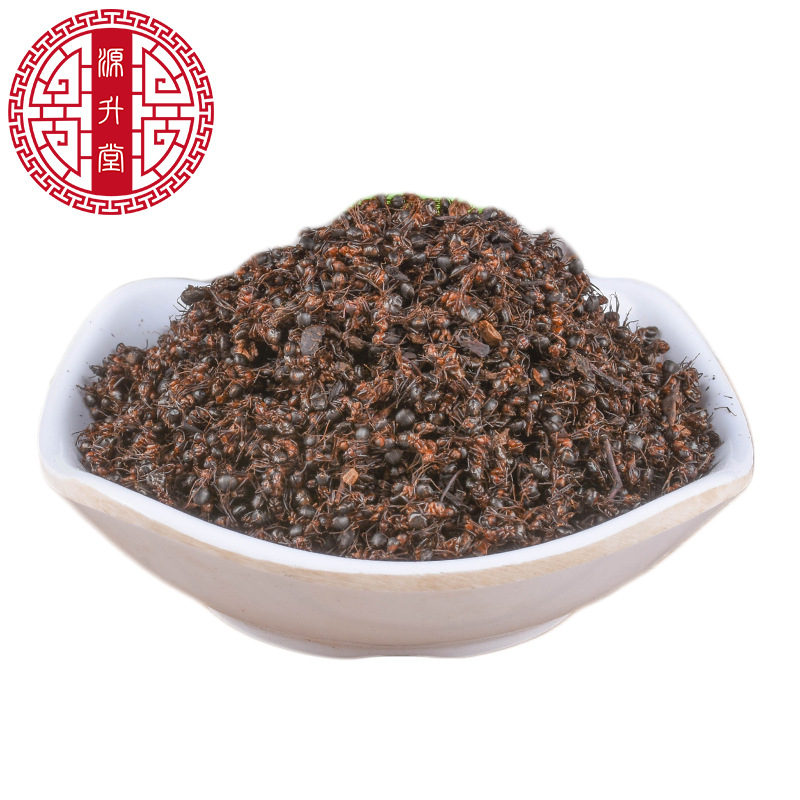 Red Ant (Polyrhachis / Formica) Dried Whole Ants — Traditional Chinese Herbal Ingredient, 500g - Image 5