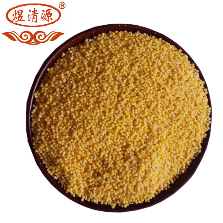Low Temperature Roasted Millet Whole Grain Cereal for Congee and Soy Milk Northeast China - Image 4