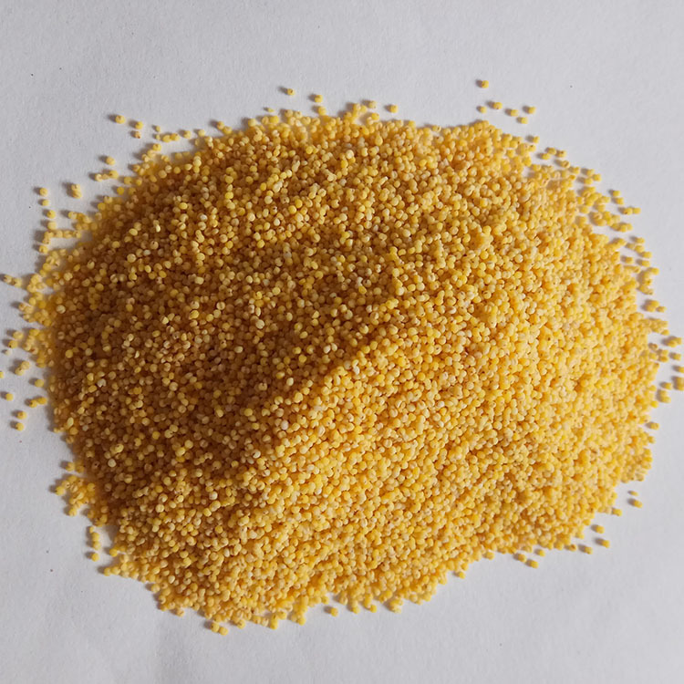 Low Temperature Roasted Millet Whole Grain Cereal for Congee and Soy Milk Northeast China - Image 2