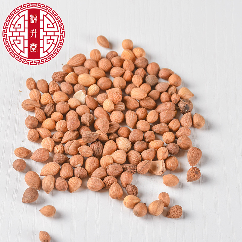 Yu Li Ren (Prunus humilis Seed) — Dried Food Herb, Inner Mongolia Origin, 500g - Image 4