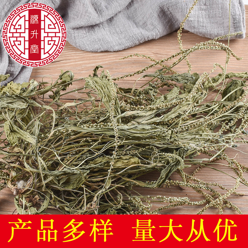 Whole Plantain Herb (Plantago asiatica) — Dried Whole Che Qian Cao, Food Herb for Tea & Soup - Image 2