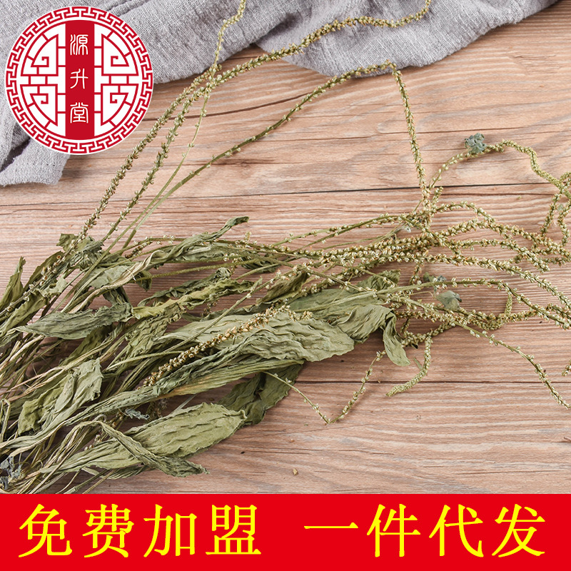 Whole Plantain Herb (Plantago asiatica) — Dried Whole Che Qian Cao, Food Herb for Tea & Soup - Image 3