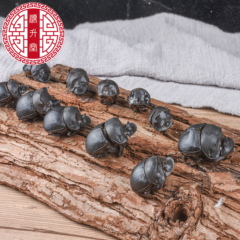 Da Jiang Jun (Catharsius molossus) — Dried Dung Beetle Insect Herb, Yunnan Origin, 500g Bulk - Image 4