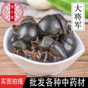 Da Jiang Jun (Catharsius molossus) — Dried Dung Beetle Insect Herb, Yunnan Origin, 500g Bulk