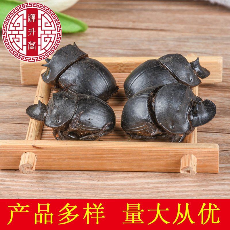 Da Jiang Jun (Catharsius molossus) — Dried Dung Beetle Insect Herb, Yunnan Origin, 500g Bulk - Image 2