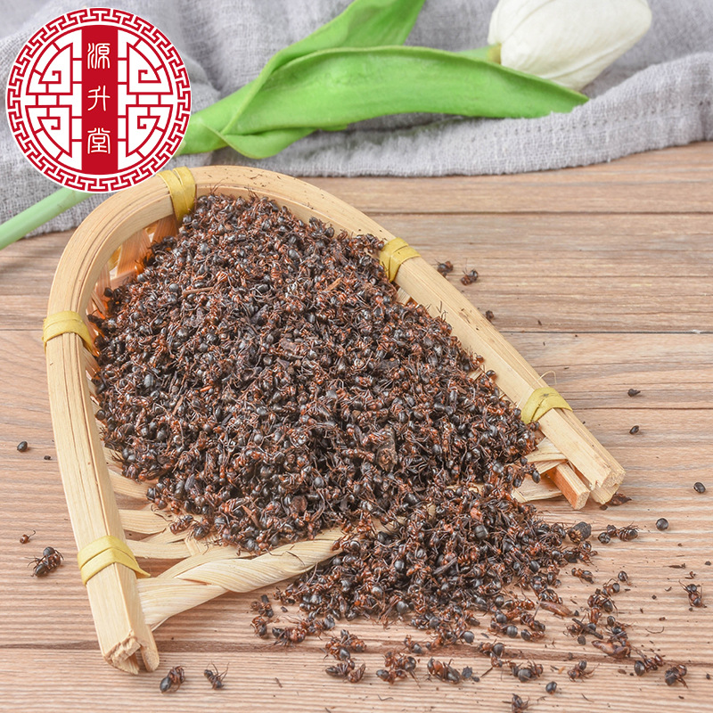 Red Ant (Polyrhachis / Formica) Dried Whole Ants — Traditional Chinese Herbal Ingredient, 500g - Image 4