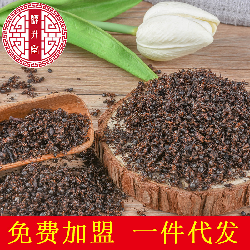 Red Ant (Polyrhachis / Formica) Dried Whole Ants — Traditional Chinese Herbal Ingredient, 500g - Image 3