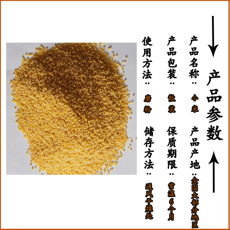 Low Temperature Roasted Millet Whole Grain Cereal for Congee and Soy Milk Northeast China - Image 3