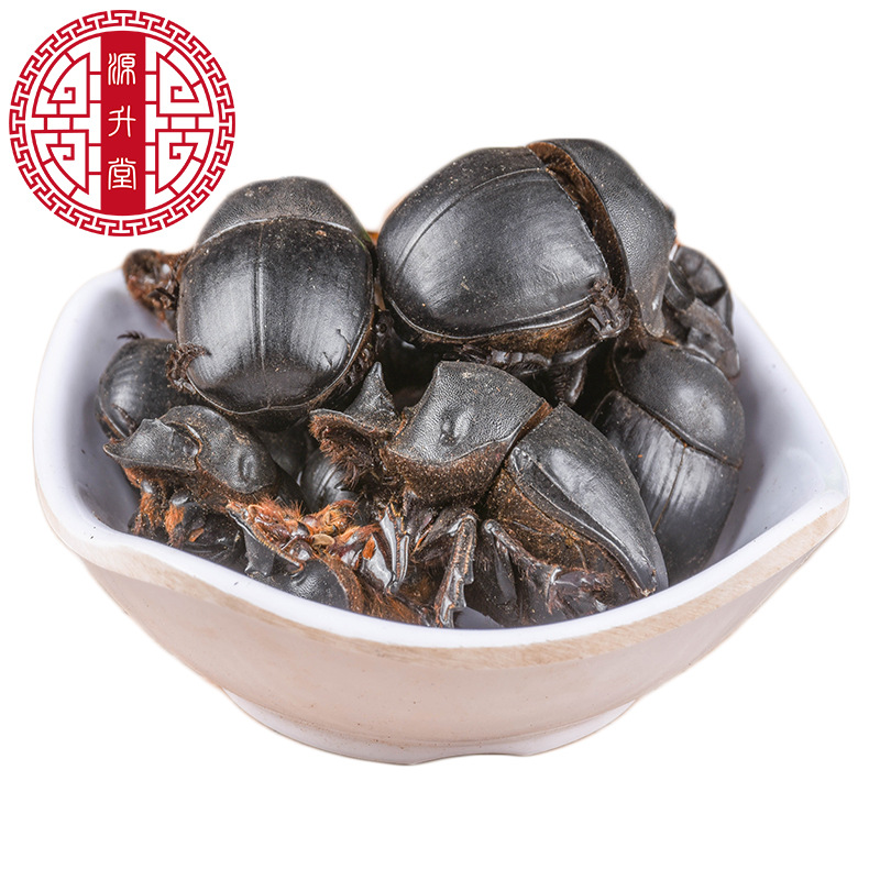 Da Jiang Jun (Catharsius molossus) — Dried Dung Beetle Insect Herb, Yunnan Origin, 500g Bulk - Image 5