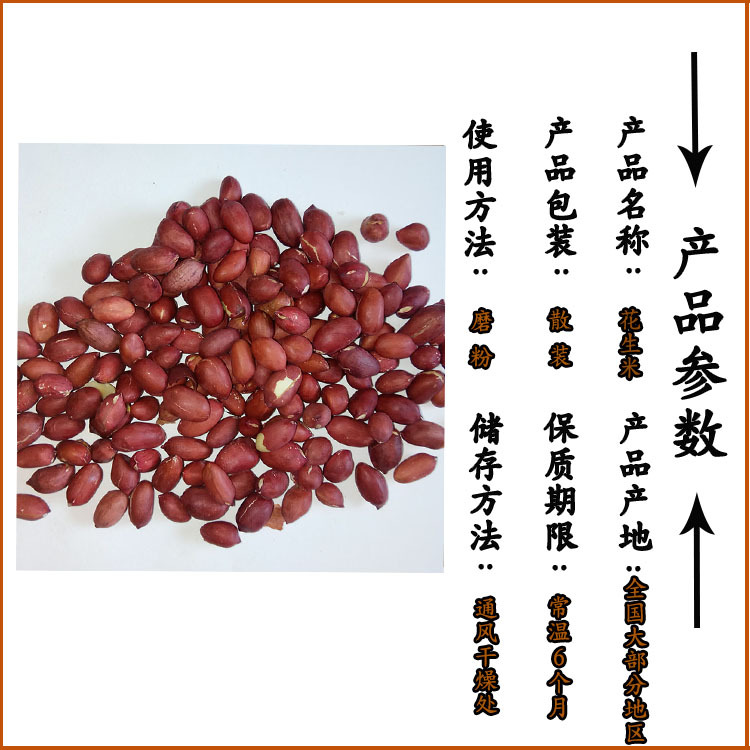Low Temperature Roasted Peanuts Whole Grain Soy Milk Ingredient Northeast Grown 2.5kg Bulk - Image 3