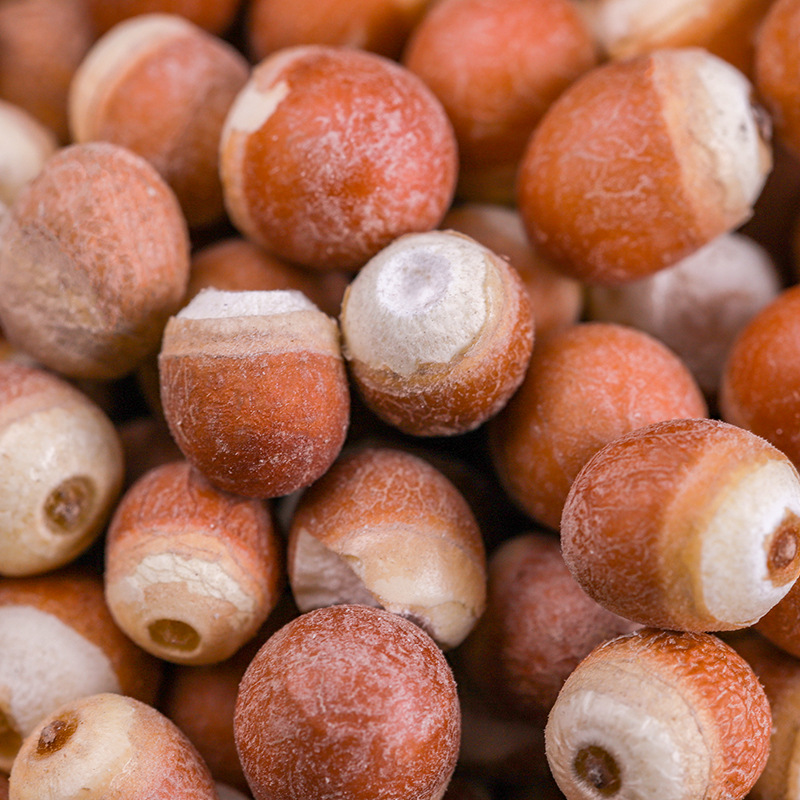 Dried Red Skin Gorgon Fruit Qian Shi 500g Whole Euryale Seeds for Cooking and Congee - Image 3