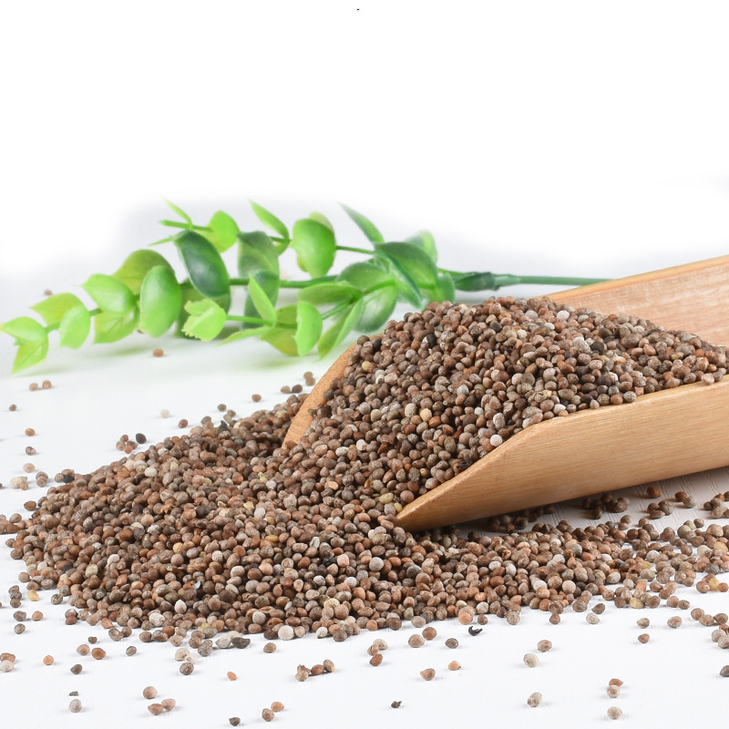 Zi Su Zi (Perilla frutescens) — Dried Perilla Seed, Food-Herb for Tea & Cooking, 500g - Image 2