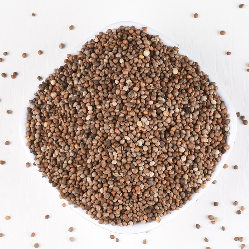 Zi Su Zi (Perilla frutescens) — Dried Perilla Seed, Food-Herb for Tea & Cooking, 500g - Image 5
