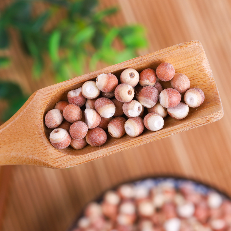 Dried Red Skin Gorgon Fruit Qian Shi 500g Whole Euryale Seeds for Cooking and Congee - Image 2