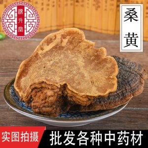 Sang Huang (Sanghuangporus sanghuang) — Wild Northeast Mulberry Yellow Fungus, Food-Herb Mushroom for Cooking