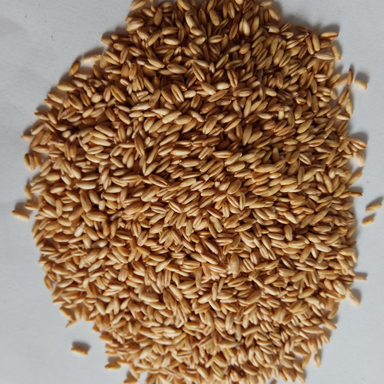 Low Temperature Baked Rolled Oats Bulk Whole Grain Oatmeal for Porridge and Baking - Image 4