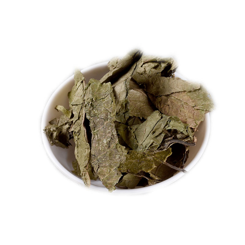 Eucommia Leaves (Eucommia ulmoides) — Dried Du Zhong Ye Herbal Tea & Soup Herb, 500g - Image 5